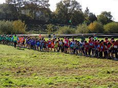 Cross départemental 12 novembre 2014