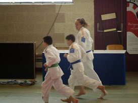 Compétition de judo régionale du mercredi 28 janvier 2015