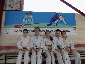 Compétition régionale de judo