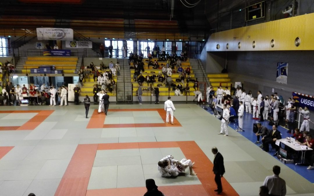 Judo en direct